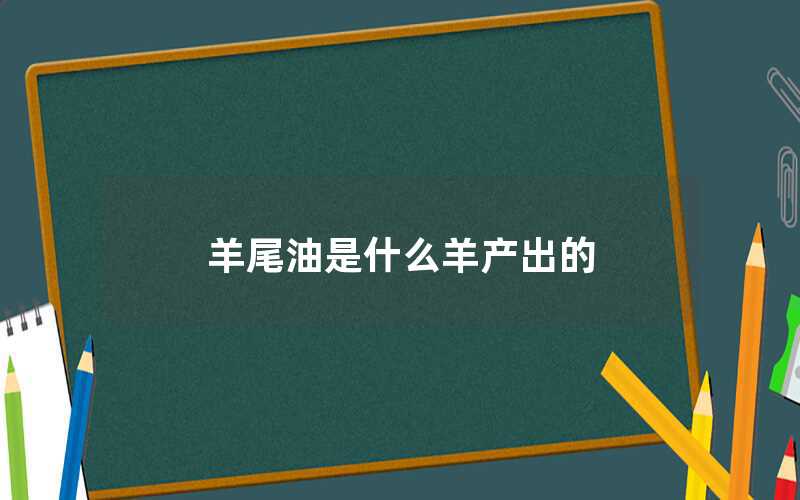 羊尾油是什么羊產(chǎn)出的