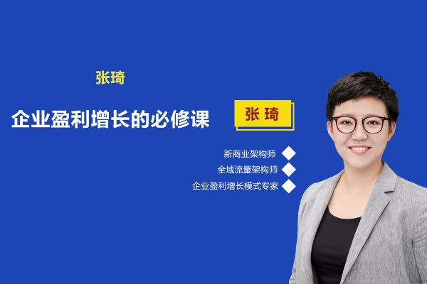 張琦-商業創新之引爆利潤增長，引爆流量業績利潤