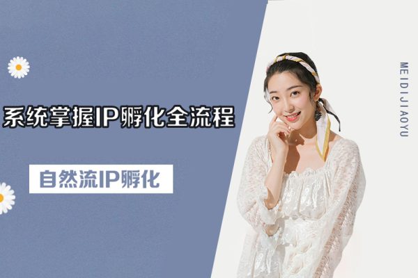 自然流IP孵化，系統(tǒng)掌握IP孵化全流程