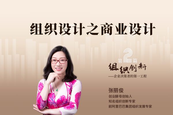 張麗俊-組織創(chuàng)新之商業(yè)設計視頻教程