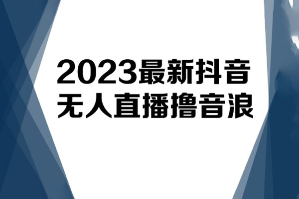 2023最新抖音無(wú)人直播擼音浪項(xiàng)目