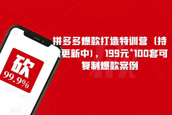 拼多多爆款打造特訓(xùn)營，199元*100套可復(fù)制爆款案例