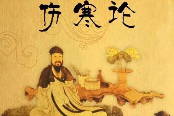 魯法庭精簡(jiǎn)實(shí)戰(zhàn)《傷寒論》音頻課程20集