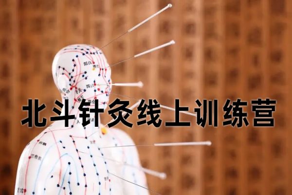 朱小寶-北斗針灸線上訓(xùn)練營(yíng)