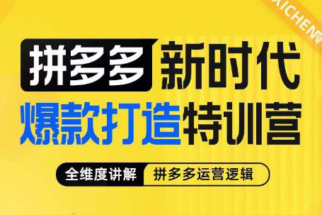 推易拼多多VIP全套直播課程，拼多多店鋪實(shí)操玩法+實(shí)戰(zhàn)玩法選款內(nèi)功+直通車高階等