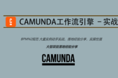 Camunda高級實戰(zhàn)培訓系列教程