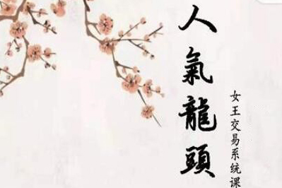 低吸女王人氣龍頭周期系統(tǒng)