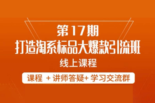 南掌柜-第17期打造淘系標(biāo)品大爆款