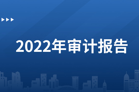 Benny I 超白金2022年審計(jì)實(shí)務(wù)（3節(jié)視頻）
