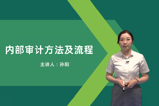 中華會計(jì)網(wǎng)校孫陽：內(nèi)部審計(jì)方法及流程（視頻）