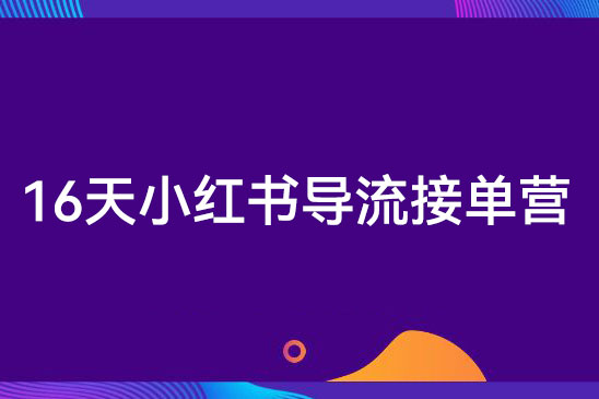16天小紅書導流接單營，教你引爆流量，在小紅書精準獲客+轉化成交