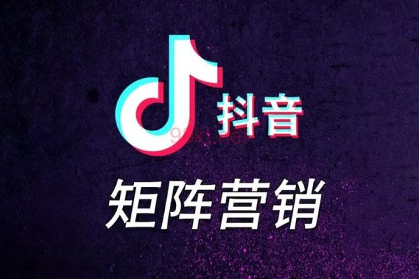 抖音矩陣實(shí)戰(zhàn)課程：新手從0到100萬(wàn)粉絲，全套抖音變現(xiàn)實(shí)操