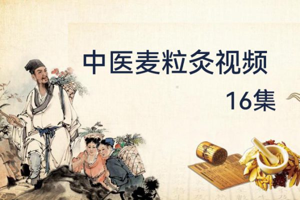 中醫麥粒灸視頻課程16集