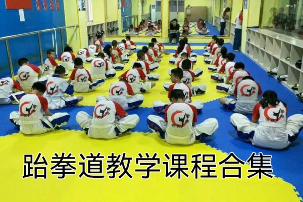 跆拳道教學(xué)課程合集