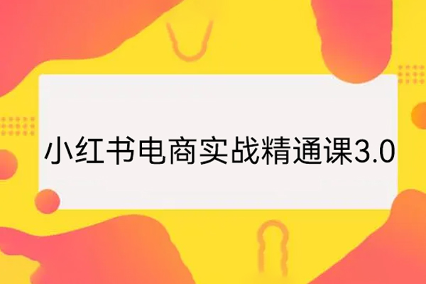 小紅書電商實戰精通課3.0，抓住小紅書平臺的風口，不錯過有一個賺錢的機會