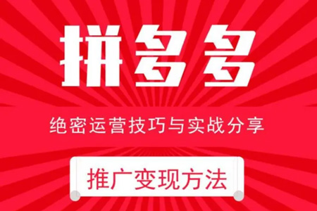 2024年最新拼多多視頻變現(xiàn)教學(xué)訓(xùn)練營