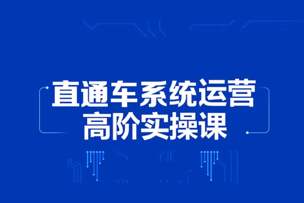 2024無界直通車系統實操課程，帶你學會萬相無界關鍵詞推廣，4.0升級版，系統化課程 理論+實操