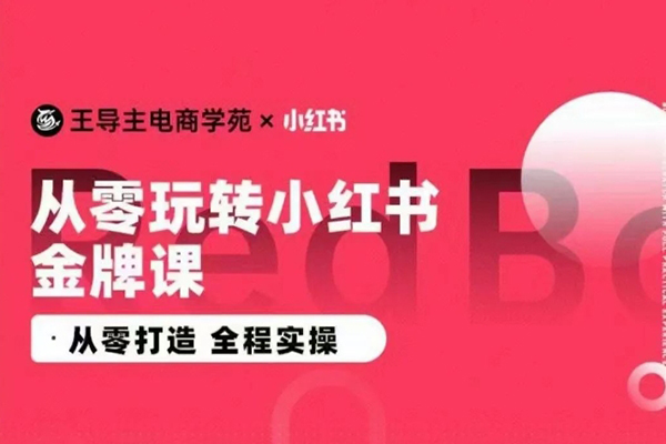 王導(dǎo)主·小紅書(shū)電商運(yùn)營(yíng)實(shí)操課，從零打造 全程實(shí)操