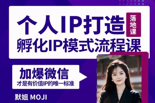 默姐·老板商業(yè)IP孵化流程課，30天IP出圈計(jì)劃，完整的個(gè)人IP短視頻落地課程