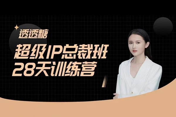 透透糖·超級(jí)IP總裁班28天訓(xùn)練營