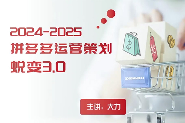 2024拼多多運營策略蛻變3.0，0