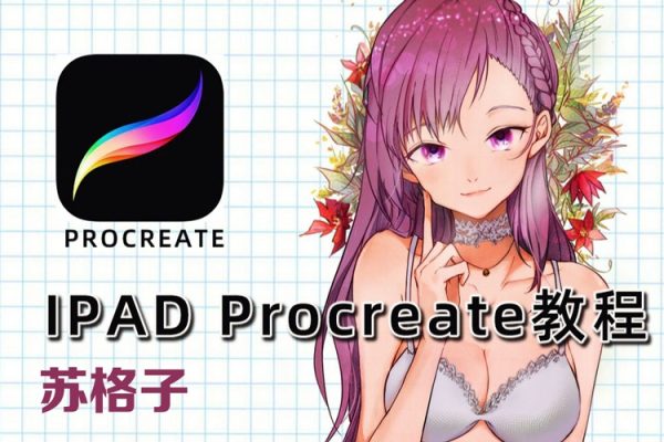 蘇格子IPAD繪畫procreate基礎課2022年