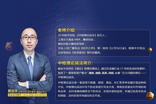 都業(yè)華財富錦囊《中樞理論戰(zhàn)法》2024年中樞新系統(tǒng)課 視頻+文檔