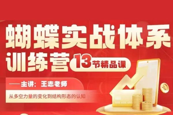 無為王志蝴蝶實(shí)戰(zhàn)體系訓(xùn)練營第二期課程