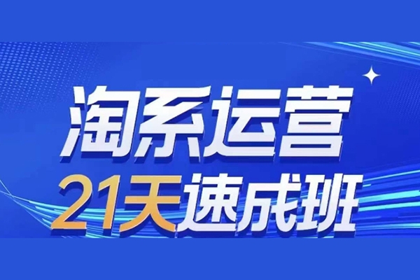 淘系運(yùn)營(yíng)21天速成班(更新24年7月)，0基礎(chǔ)輕松搞定淘系運(yùn)營(yíng)，不做假把式