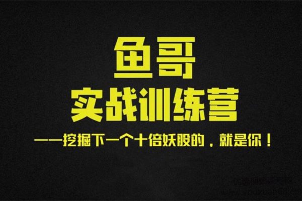 魚哥實(shí)戰(zhàn)超短訓(xùn)練營(yíng)視頻+講義