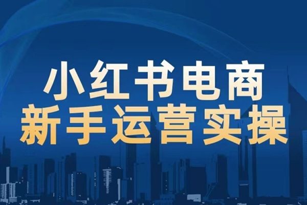 1V1小紅書電商運(yùn)營實操課，新手小白必學(xué)課