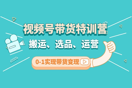 張小偉視頻號帶貨實操課【九月最新】 無人直播、書單號賣貨、個人IP口播等 釘釘直播課+資料素材