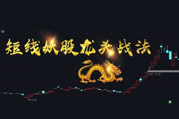 90天股票職業(yè)龍頭實戰(zhàn)特訓圈子（季度圈）