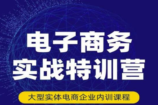 最新系統電商實戰玩法，31天實戰分享，實戰出真知，培訓電商公司團隊