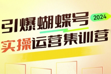 引爆蝴蝶號實操運營，助力你深度掌握蝴蝶號運營，實現高效實操，開啟流量變現之路