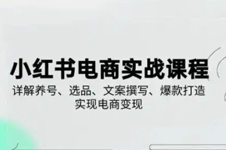 戴小胖-小紅書從0-1實(shí)操課電商變現(xiàn)