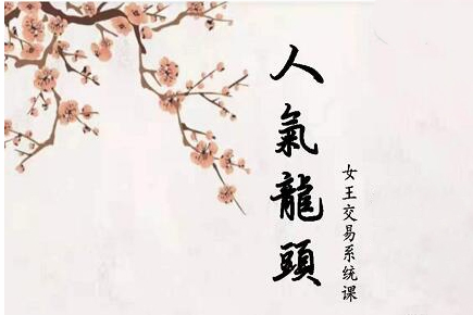 短線女王人氣女王人氣龍頭基礎視頻課程