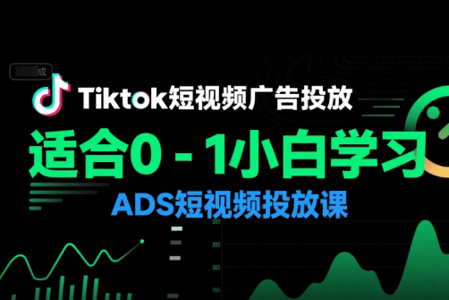萬三老師·Tiktok短視頻廣告投放