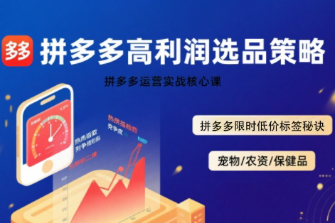 久號老師·拼多多選品暴利技術實戰課，拼多多高利潤選品策略，拼多多限時低價標簽秘訣