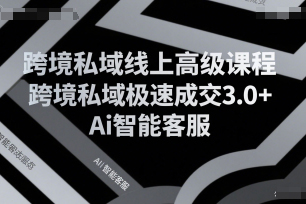 跨境私域線上高級(jí)課程，跨境私域極速成交3.0+Ai智能客服
