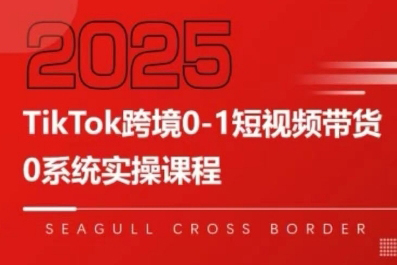大億老師TikTok跨境0-1短視頻帶貨