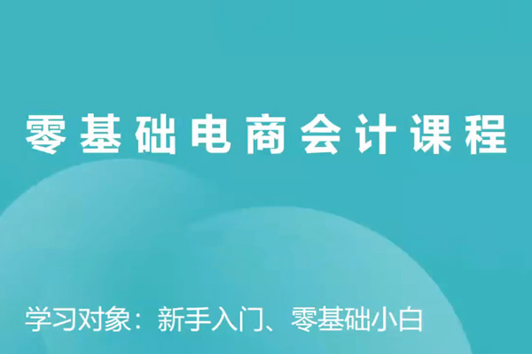 電商財務(wù)零基礎(chǔ)入門，基礎(chǔ)認知+基礎(chǔ)實操+進階突破，輕松掌握