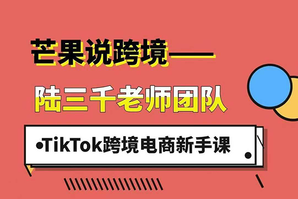 陸三千TikTok跨境電商新手課，TikTok從入門到盈利的全流程！2025年最新最有效的運營策略和平臺規則。