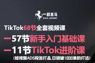 黑馬跨境TikTok全套視頻課，新手入門+進階課，短視頻ADS