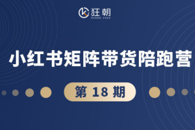 盜坤·抖音小紅書視頻號短視頻帶貨與直播變現（11