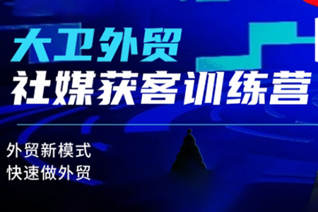 大衛老師·外貿社媒獲客獨家訓練營,外貿新模式,快速做外貿