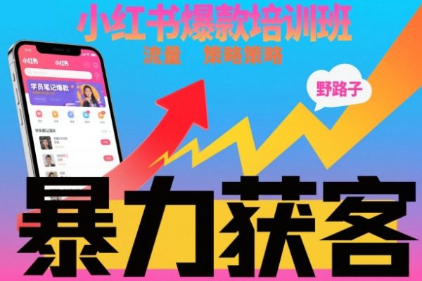 小紅書爆款培訓班,小紅書獲客野路子流量打法,暴力持續獲客